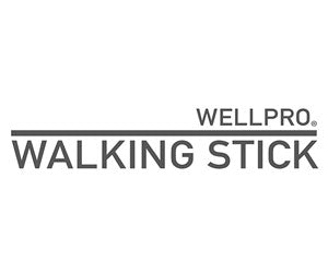 Wellpro Walking Stick a 49,99€