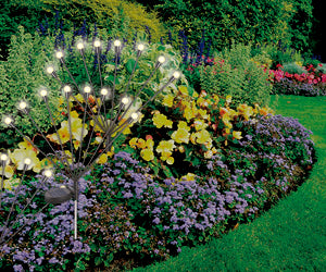 Starlyf Glow Lights 2x1 a 248 LEU