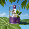 Intimotea