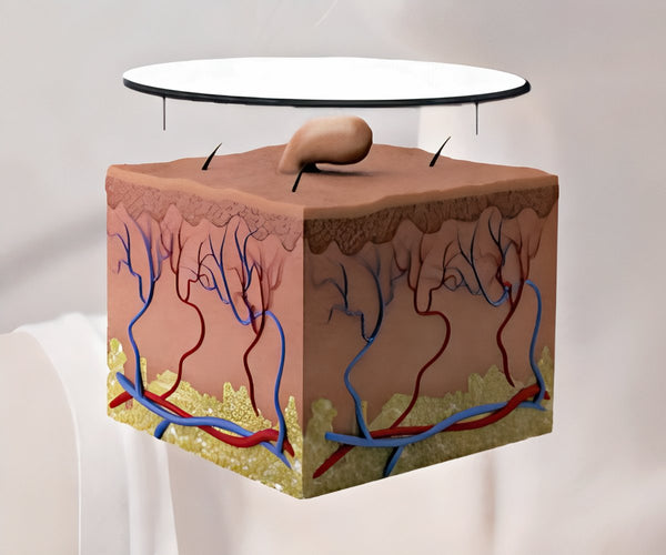 Skin Patch 2x1 a 49,99€