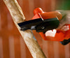 Minichain Saw a 386 PLN